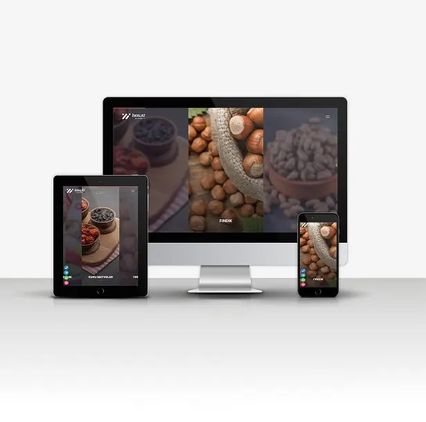 Manufacturing & Foreign Trade V2 (SUITABLE FOR ALL SECTORS)