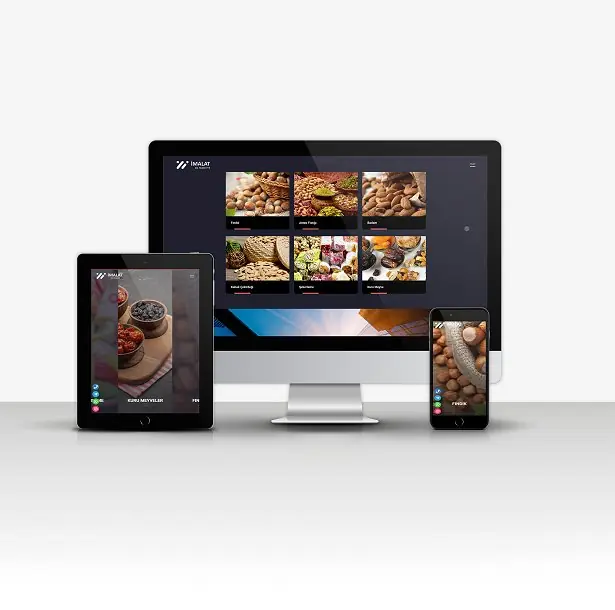 Manufacturing & Foreign Trade V2 (SUITABLE FOR ALL SECTORS)