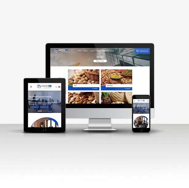 Corporate Firm V21 (Suitable for All Sectors - New Language System)