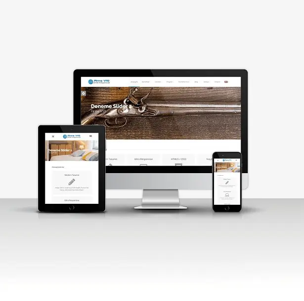 Professional Firm V10 Dual Language