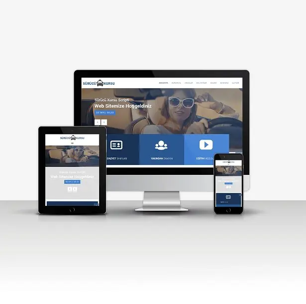 Driving School Script V1