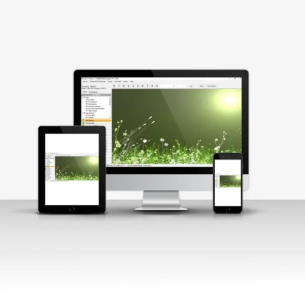 Professional Accounting Software