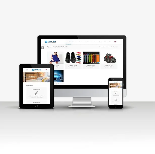 Professional Firm V10 Dual Language